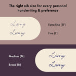 LAMY STUDIO LTD FOUNTAIN PEN ORION MATT 066