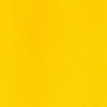 Maimeri Classico Oil Paint Permanent Yellow Lemon 60ml