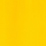 Maimeri Classico Oil Paint Permanent Yellow Lemon 60ml