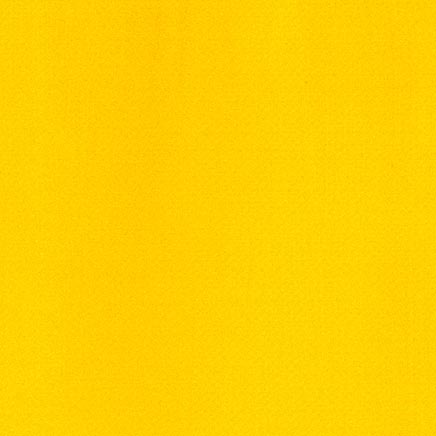 Maimeri Classico Oil Paint Permanent Yellow Lemon 60ml