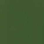 Maimeri Classico Oil Paint Chrome Oxide Green 60ml