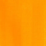 Maimeri Classico Oil Paint Indian Yellow