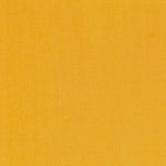 Maimeri Classico Oil Paint Naples Yellow Light