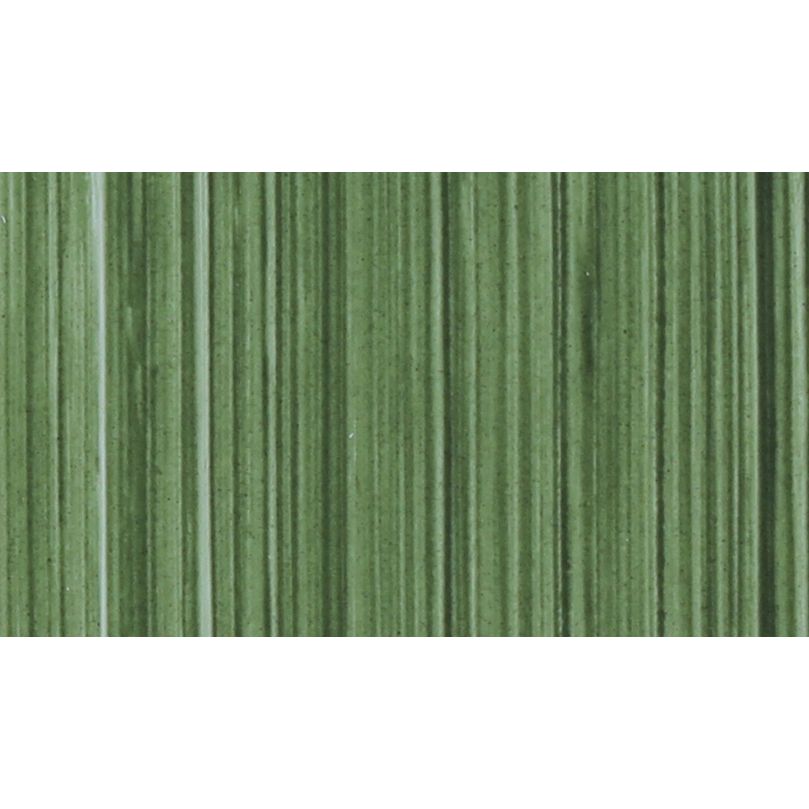 MICHAEL HARDING OIL PAINT TERRE VERTE