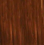 MICHAEL HARDING OIL PAINT RAW SIENNA