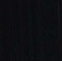 MICHAEL HARDING OIL PAINT VINE BLACK