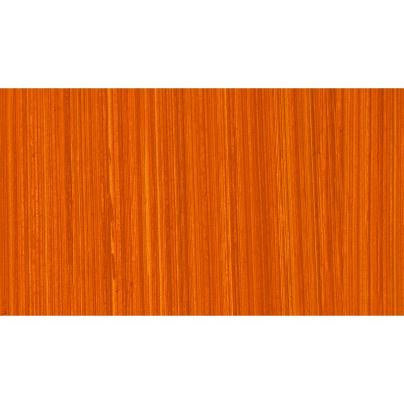 MICHAEL HARDING OIL PAINT BRILLIANT ORANGE