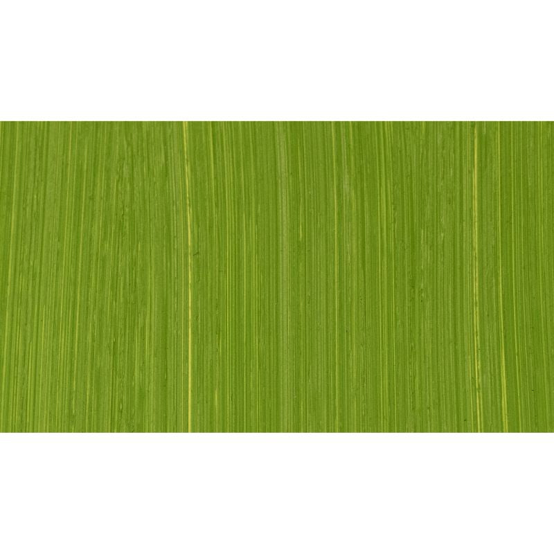 MICHAEL HARDING OIL PAINT CADMIUM GREEN