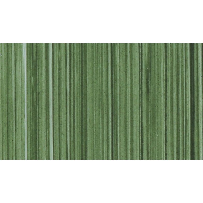 MICHAEL HARDING OIL PAINT TERRE VERTE