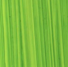 MICHAEL HARDING OIL PAINT BRIGHT GREEN LAKE