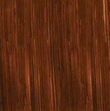 MICHAEL HARDING OIL PAINT RAW SIENNA