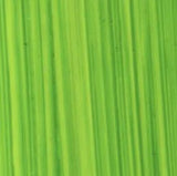 Michael Harding Oil Paint Bright Green Lake 40ml