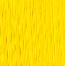 Michael Harding Oil Paint Cadmium Yellow 40ml