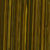 Michael Harding Oil Paint Green Gold 40ml