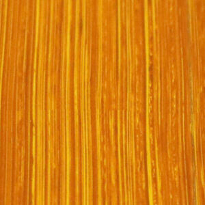 Michael Harding Oil Paint New Gamboge 40ml