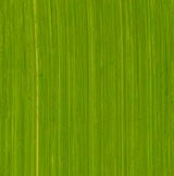 Michael Harding Oil Paint Cadmium Green 40ml