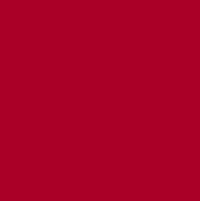 FLAME ORANGE SPRAY PAINT #320 BURGUNDY