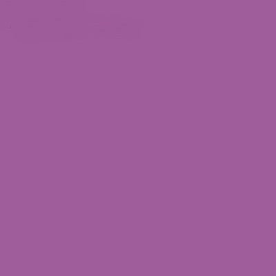 FLAME ORANGE SPRAY PAINT #396 VIOLET