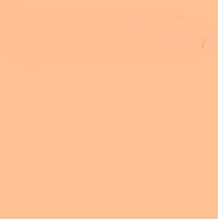 Flame Orange Spray Paint #198 Peach Middle