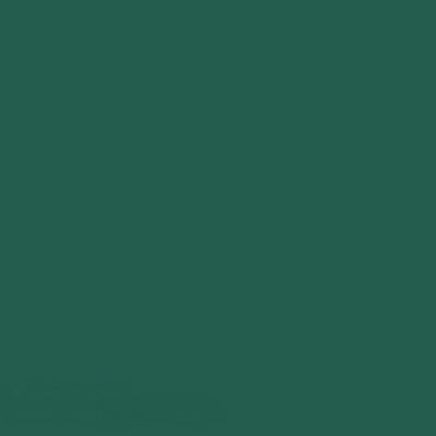 FLAME ORANGE SPRAY PAINT #636 FIR GREEN