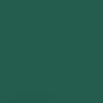 FLAME ORANGE SPRAY PAINT #636 FIR GREEN