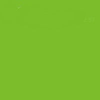 Molotow Flame Orange Spray Paint #642 Kiwi