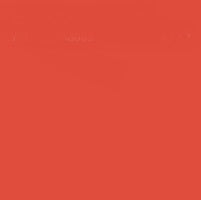 Flame Orange Spray Paint #305 Coral Red