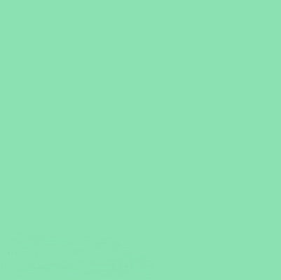 FLAME ORANGE SPRAY PAINT #664 MENTHOL LIGHT