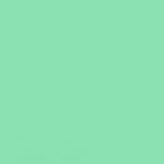 FLAME ORANGE SPRAY PAINT #664 MENTHOL LIGHT