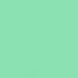 FLAME ORANGE SPRAY PAINT #664 MENTHOL LIGHT