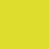 FLAME ORANGE SPRAY PAINT #627 CRAZY GREEN
