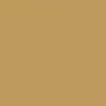 FLAME ORANGE SPRAY PAINT #704 BEIGE BROWN