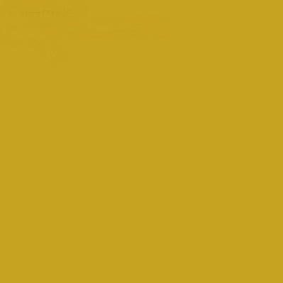FLAME ORANGE SPRAY PAINT #625 MUSTARD