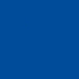 Molotow One4All Paint Refill #204 True Blue