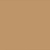 Molotow Sketcher Marker Cartridge Brush Caramel