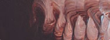 Matisse Structure Acrylic Paint Burnt Umber S1 75ml