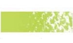 Mungyo SQ Pastel  Permanent Green