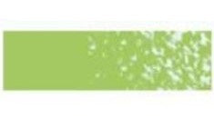 Mungyo SQ Pastel  Fluorescent Green