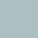 Caran D'Ache Neocolor I Wax Crayon 003 Light Grey