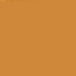 CARAN D'ACHE NEOCOLOR I WAX CRAYON 035 OCHRE