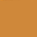 Caran D'Ache Neocolor I Wax Crayon 035 Ochre