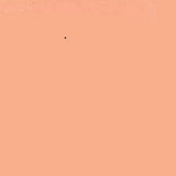 Caran D'Ache Neocolor I Wax Crayon 051 Salmon