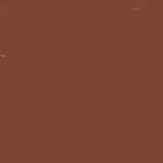 CARAN D'ACHE NEOCOLOR I WAX CRAYON 059 BROWN