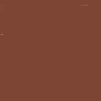 CARAN D'ACHE NEOCOLOR I WAX CRAYON 059 BROWN