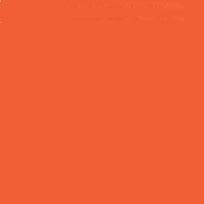 CARAN D'ACHE NEOCOLOR I WAX CRAYON 060 VERMILION