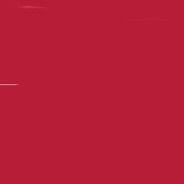 CARAN D'ACHE NEOCOLOR I WAX CRAYON 080 CARMINE