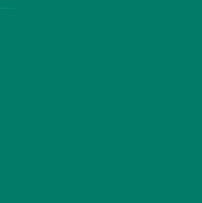 CARAN D'ACHE NEOCOLOR I WAX CRAYON 210 EMERALD GREEN