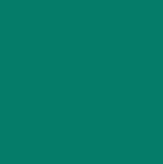 CARAN D'ACHE NEOCOLOR I WAX CRAYON 210 EMERALD GREEN
