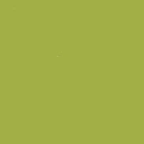 CARAN D'ACHE NEOCOLOR I WAX CRAYON 245 LIGHT OLIVE