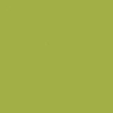 Caran D'Ache Neocolor I Wax Crayon 245 Light Olive